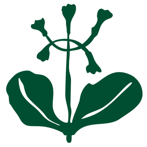 Logo Parco Nazionale del Cilento