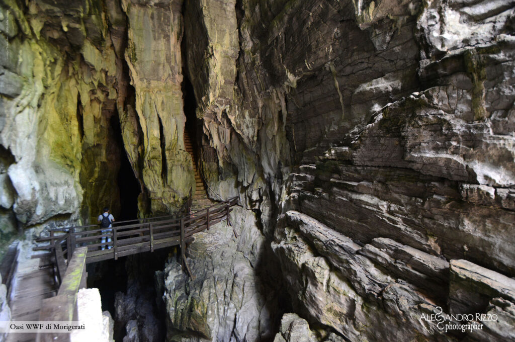 Grotte del Bussento e Oasi WWF, un viaggio tra natura e storia a Morigerati